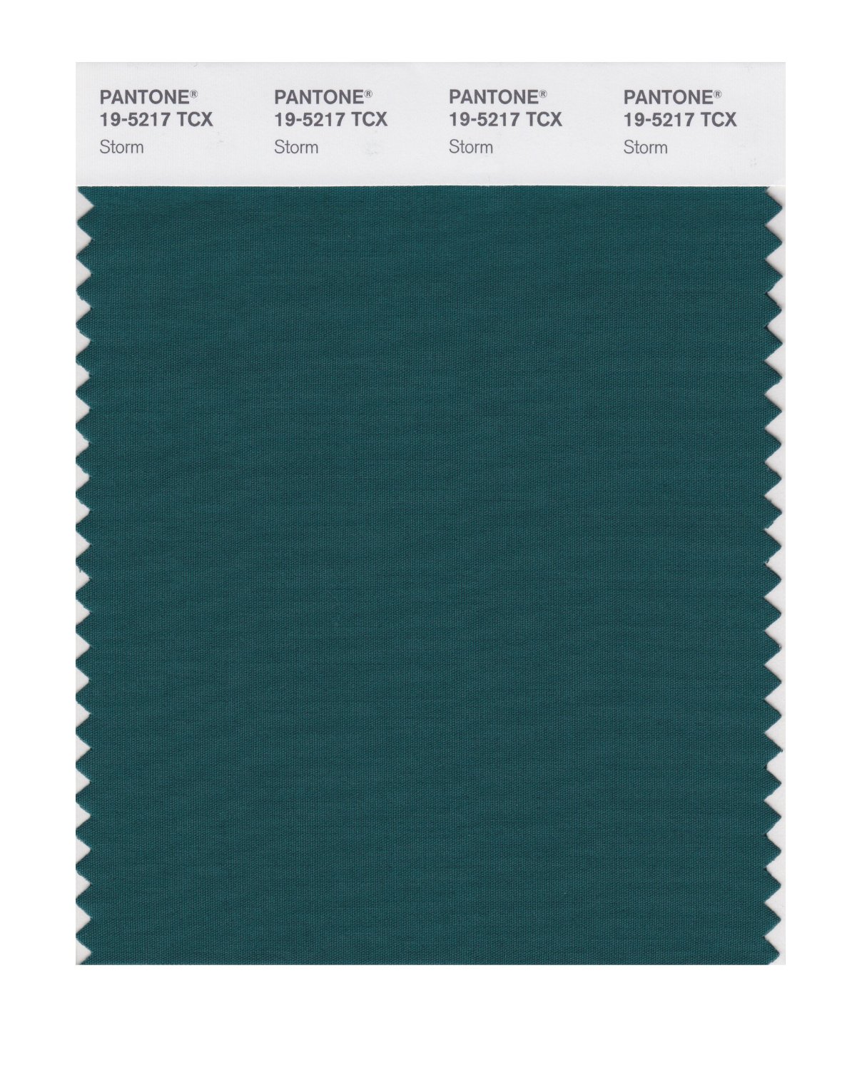 Pantone Cotton Swatch 19-5217 Storm