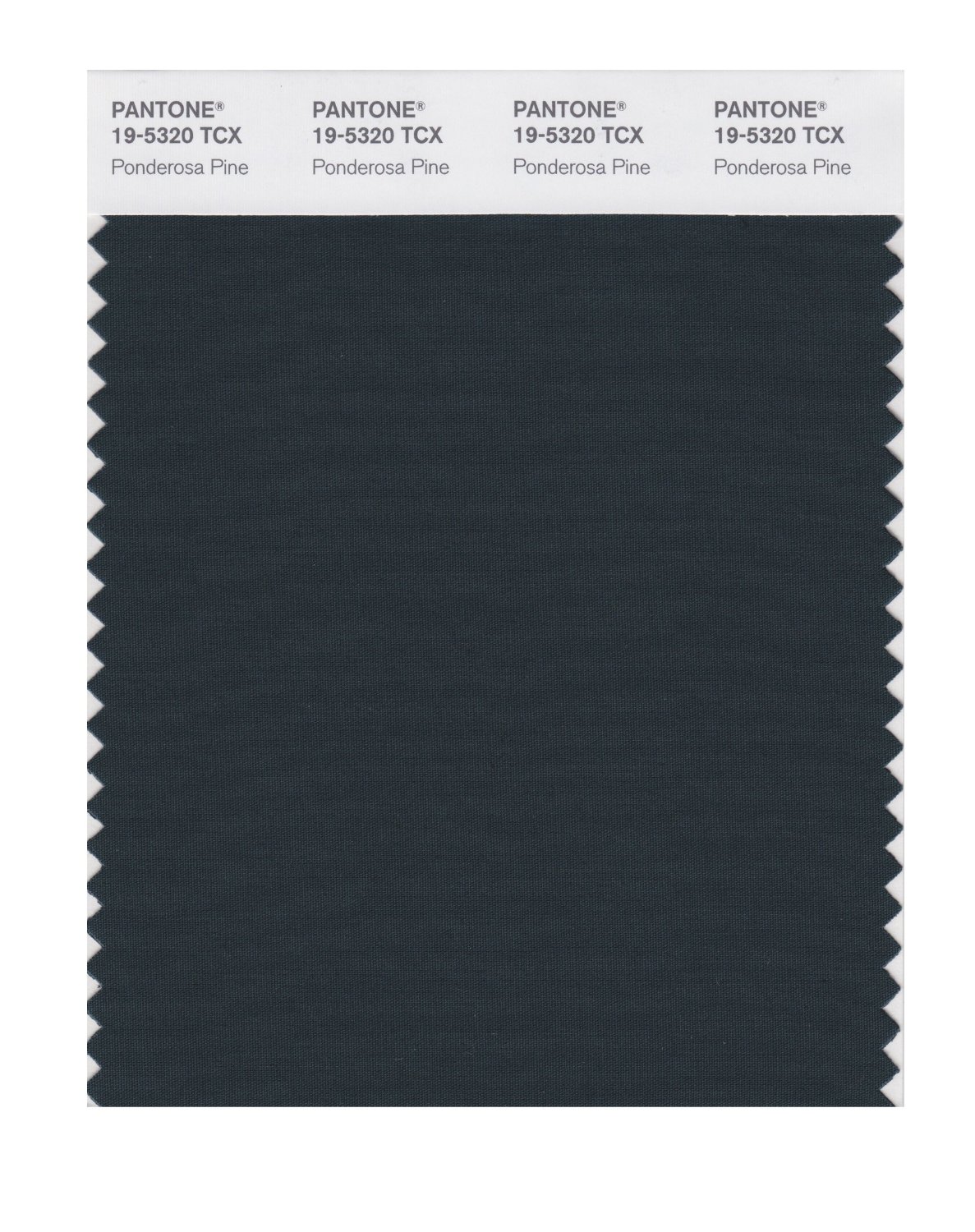 Pantone Cotton Swatch 19-5320 Ponderosa Pine