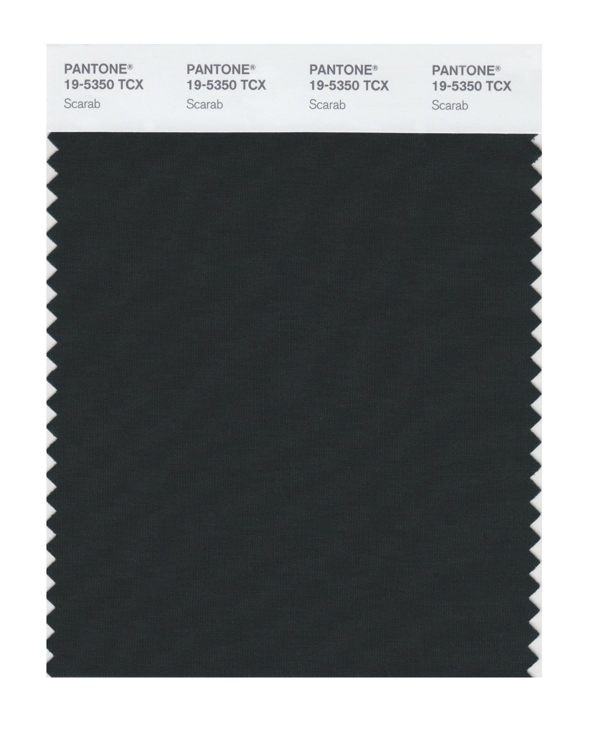 Pantone Cotton Swatch 19-5350 Scarab