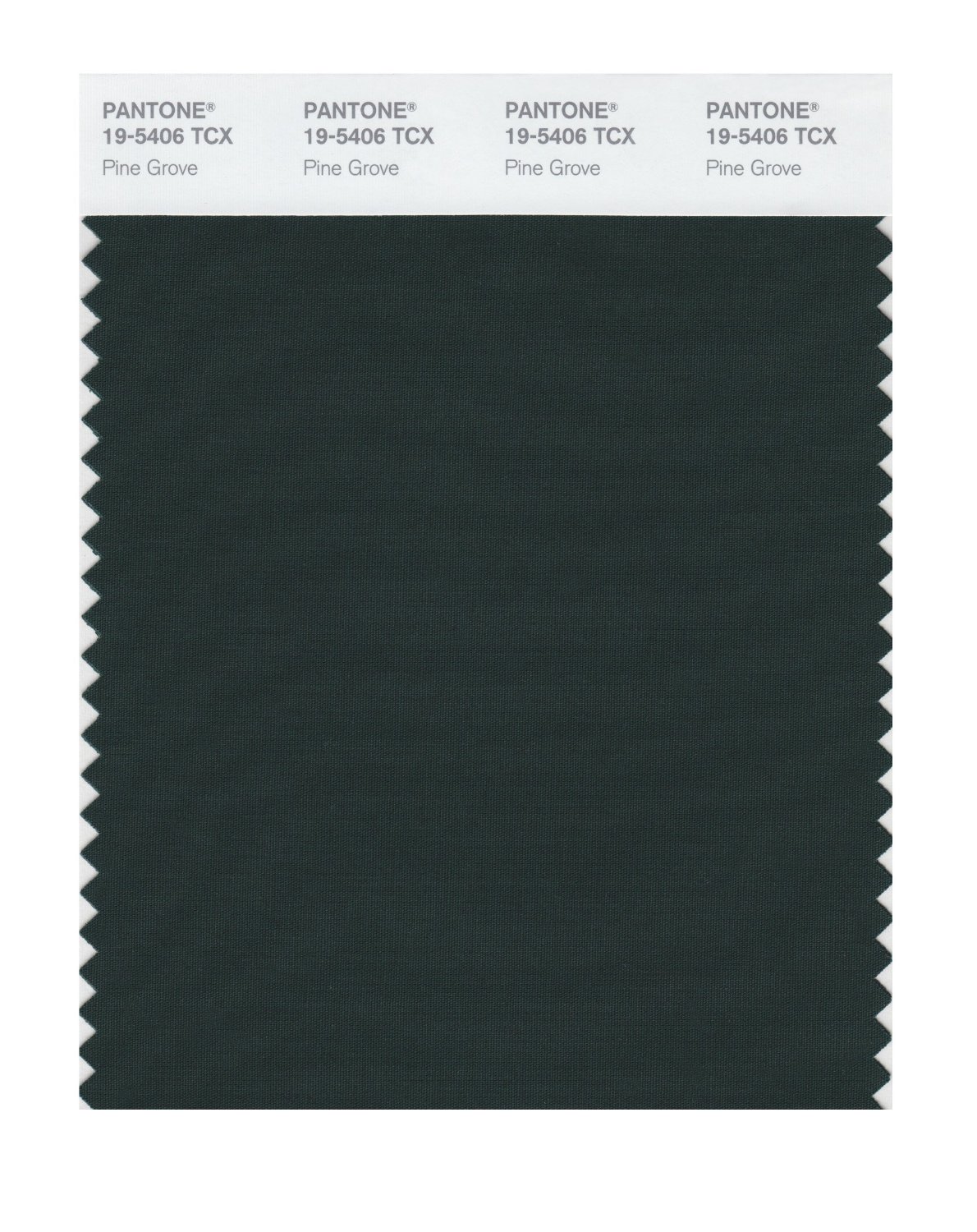 Pantone Cotton Swatch 19-5406 Pine Grove