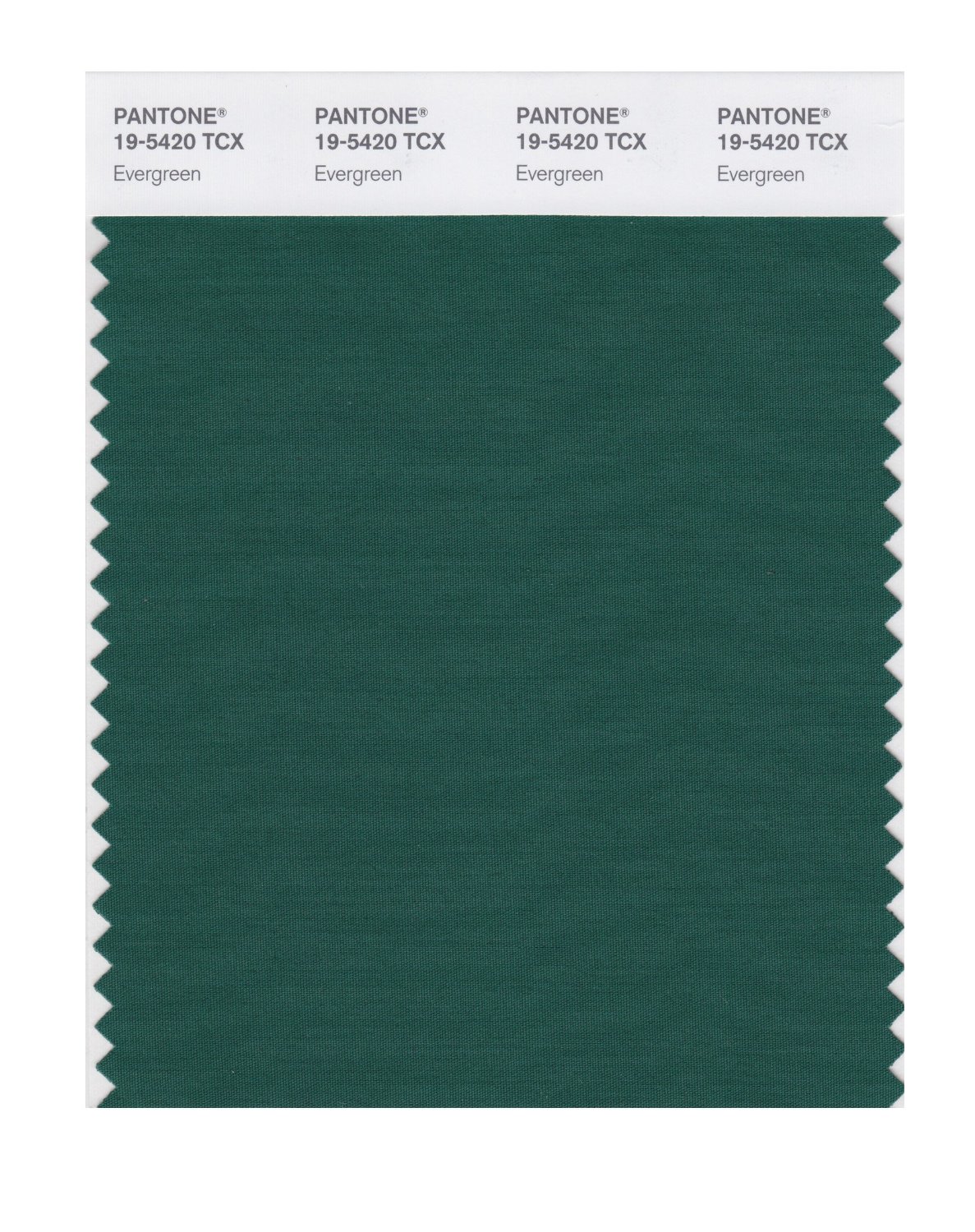 Pantone Cotton Swatch 19-5420 Evergreen