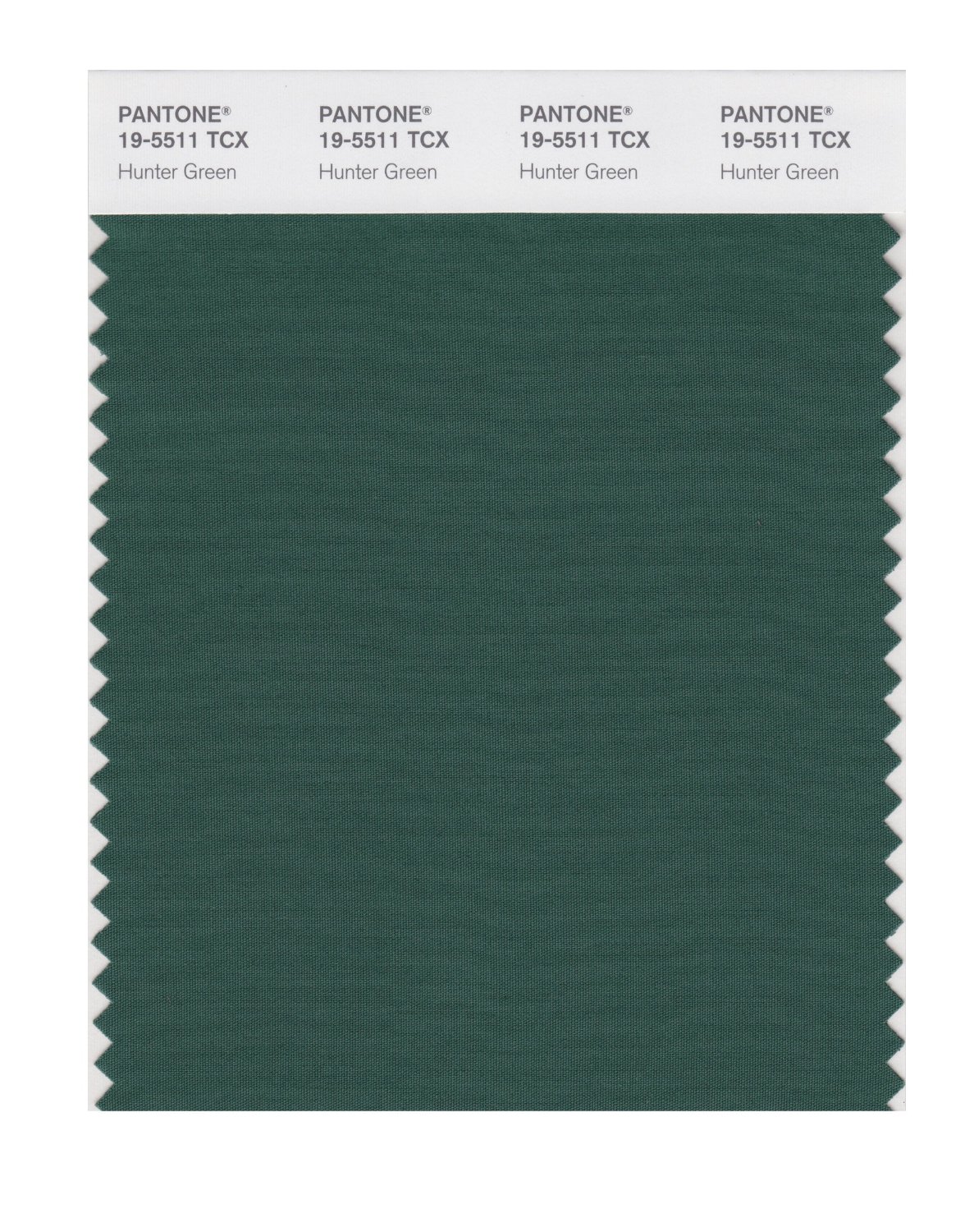 Pantone Cotton Swatch 19-5511 Hunter Green