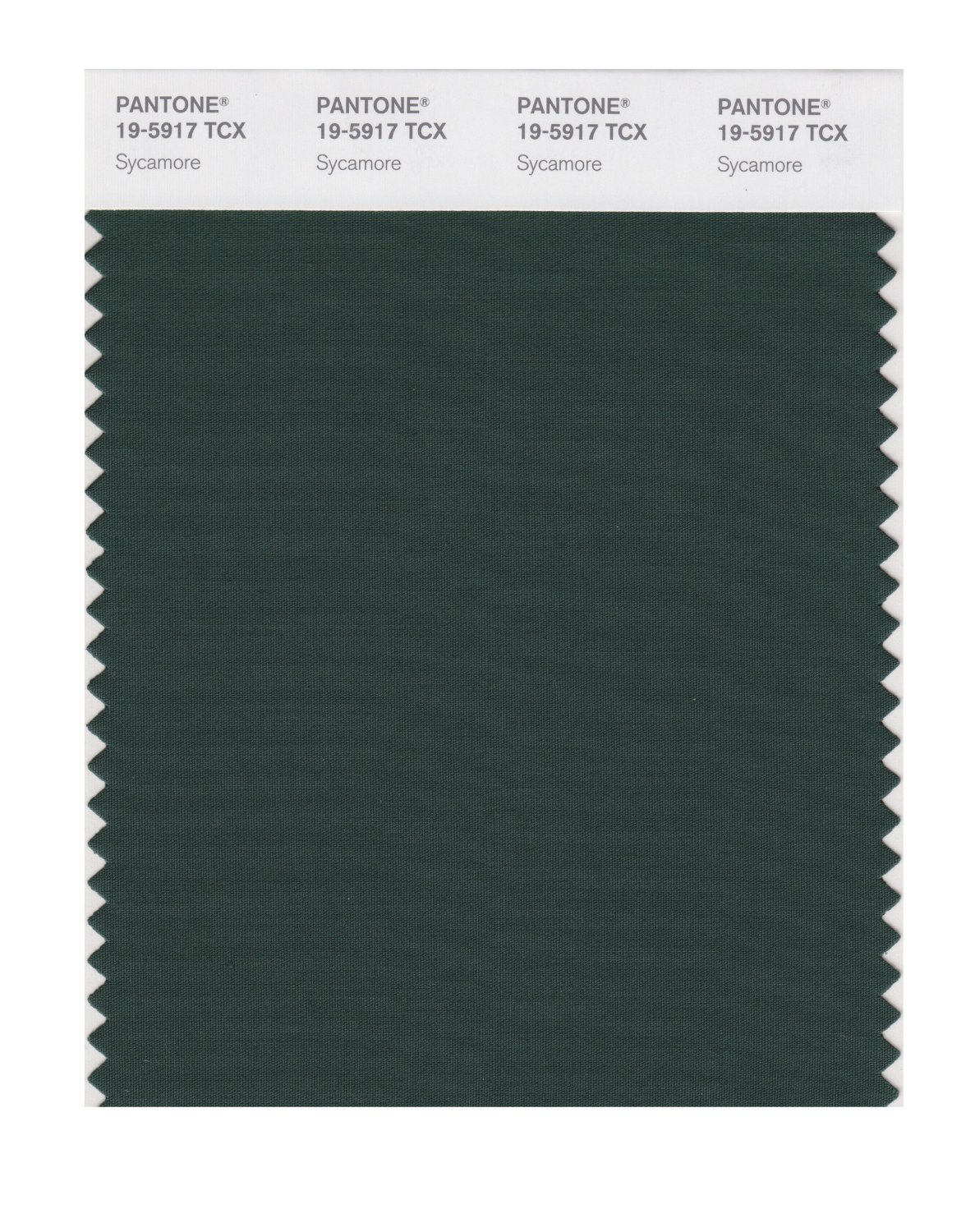 Pantone Cotton Swatch 19-5917 Sycamore