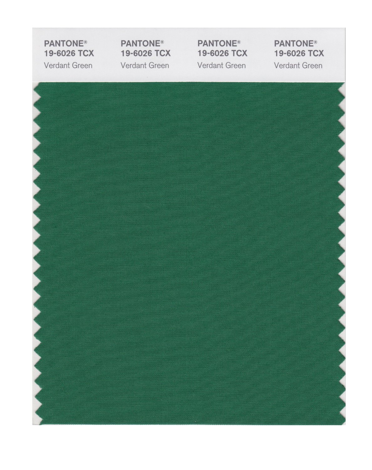 Pantone Cotton Swatch 19-6026 Verdant Green