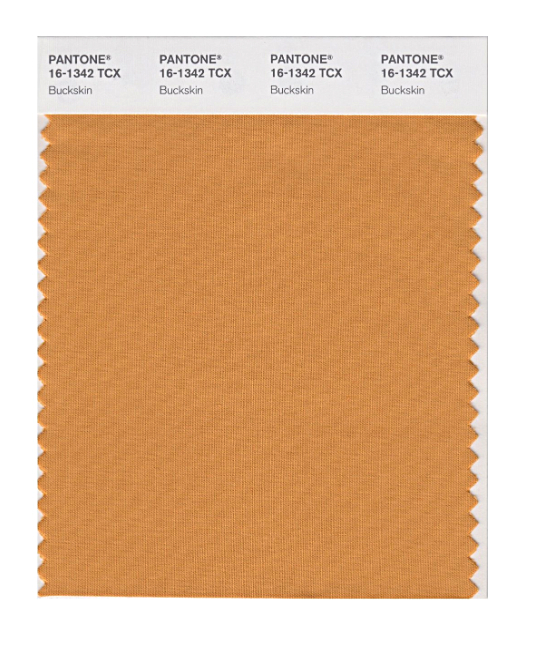 Pantone Original Swatch 16-1342 Buckskin