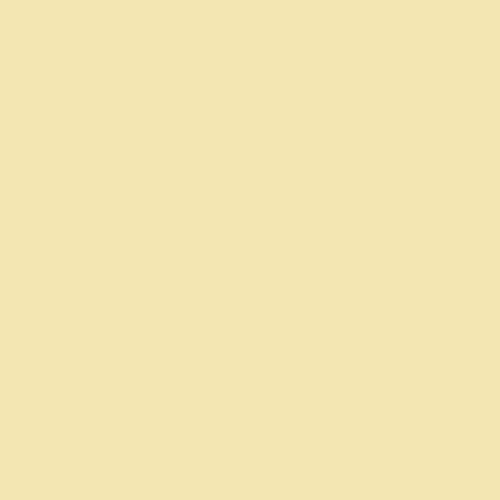 Pantone TPG Sheet 11-0616 Pastel Yellow