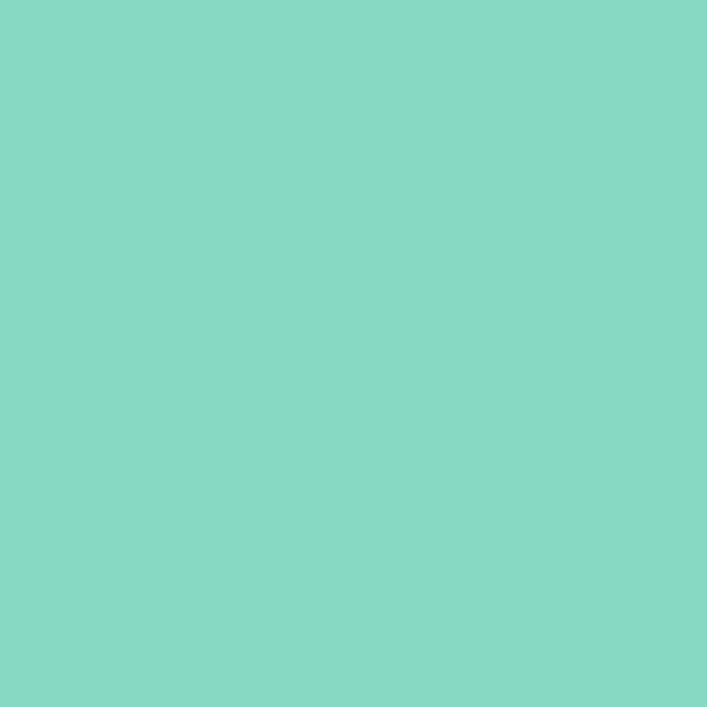 Pantone TPG Sheet 13-5414 Ice Green