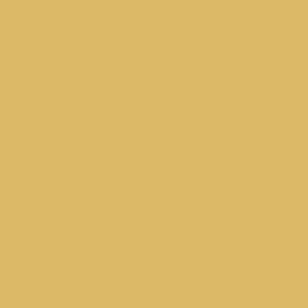 Pantone TPG Sheet 14-0837 Misted Yellow