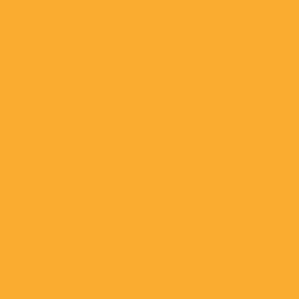 Pantone TPG Sheet 14-0955 Citrus