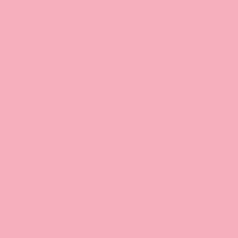 Pantone TPG Sheet 14-1911 Candy Pink