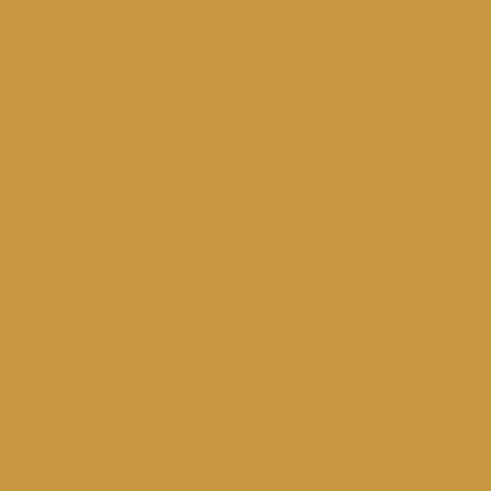 Pantone TPG Sheet 15-0948 Golden Spice