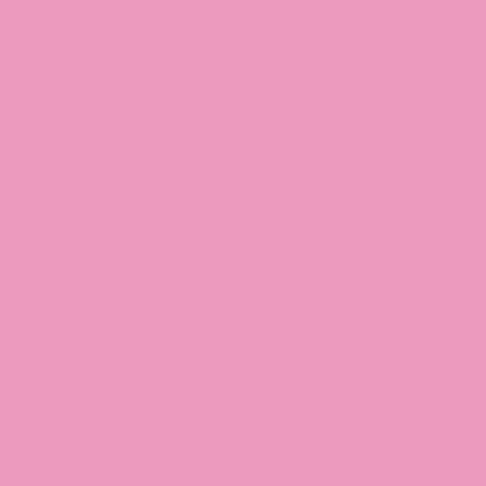 Pantone TPG Sheet 15-2215 Begonia Pink