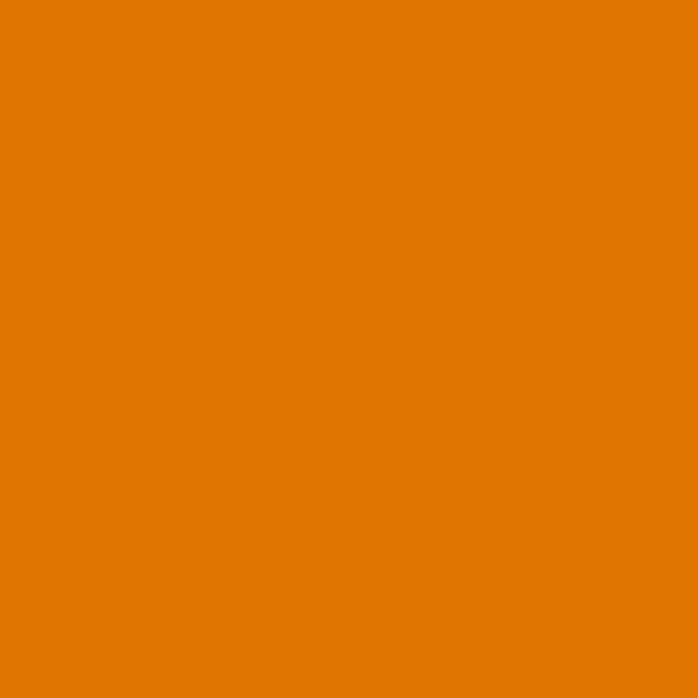 Pantone TPG Sheet 16-1164 Orange Pepper