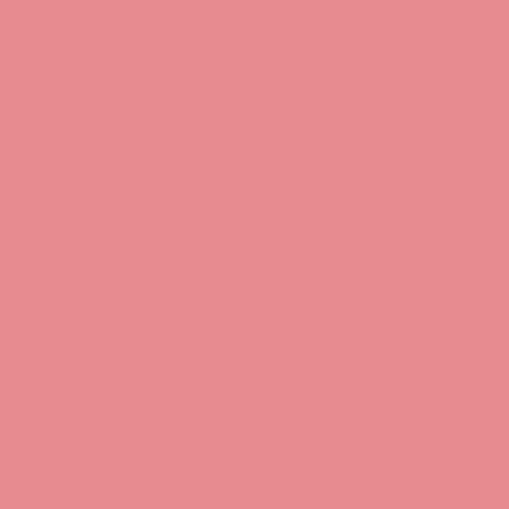 Pantone TPG Sheet 16-1720 Strawberry Ice