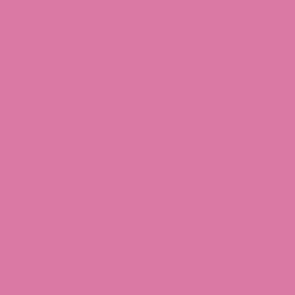 Pantone TPG Sheet 16-2124 Pink Carnation