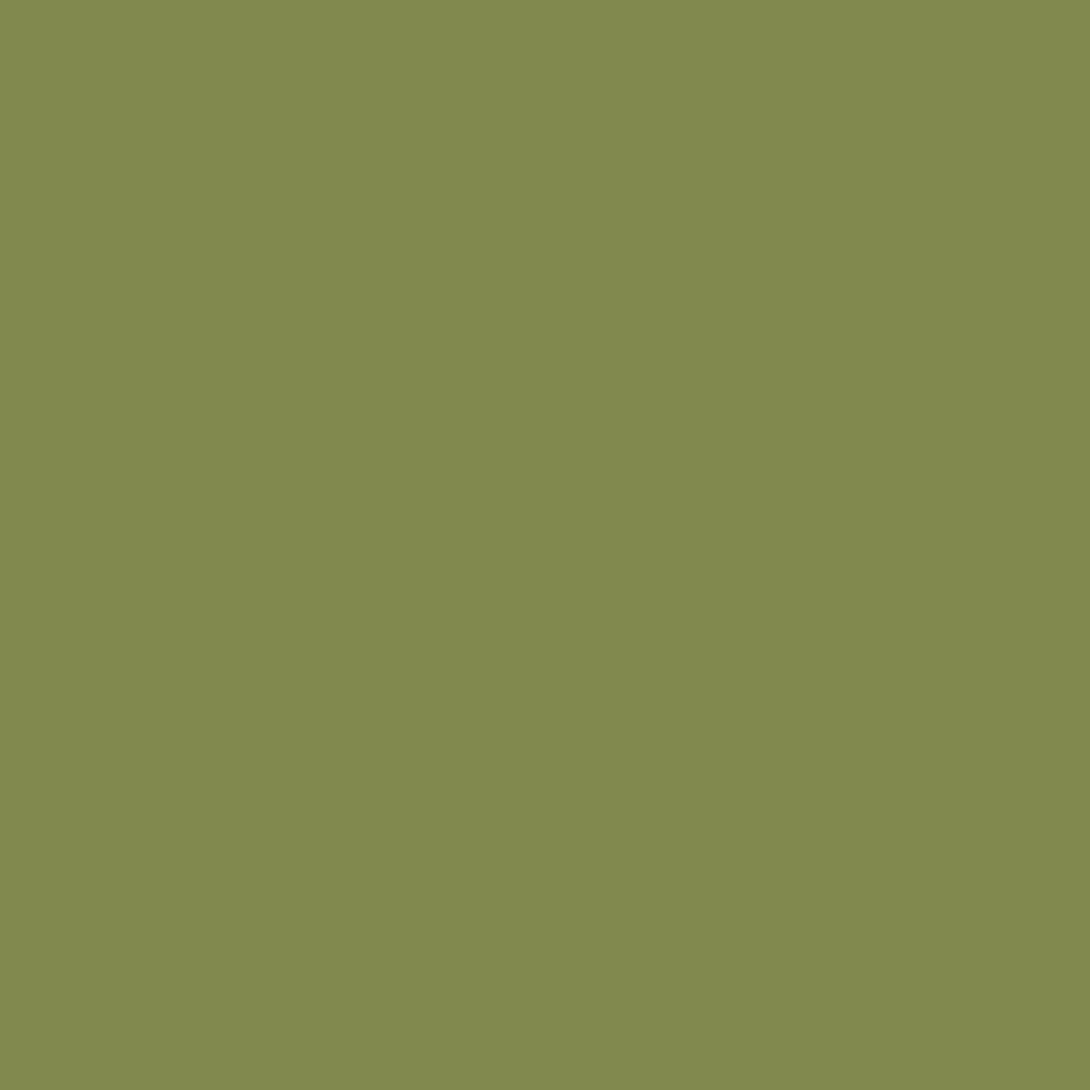 Pantone TPG Sheet 17-0330 Turtle Green