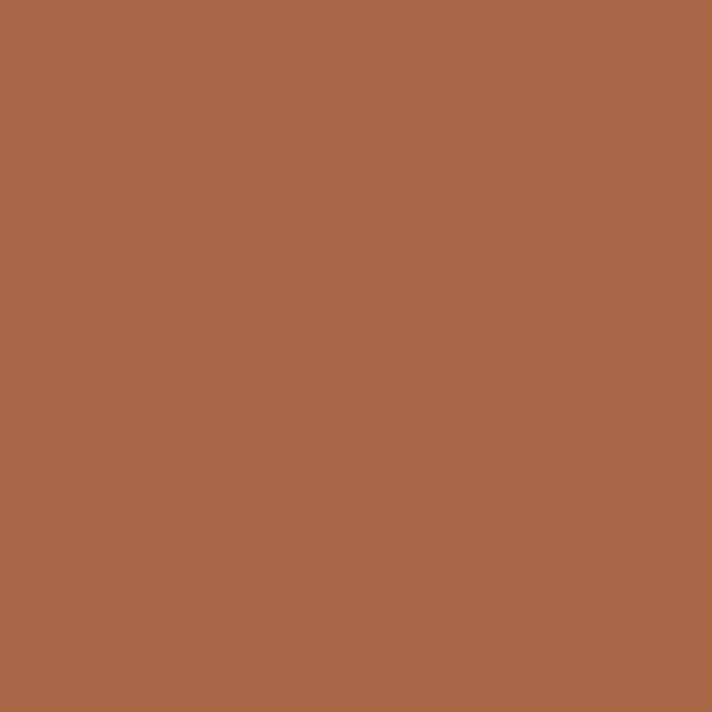 Pantone TPG Sheet 17-1147 Amber Brown