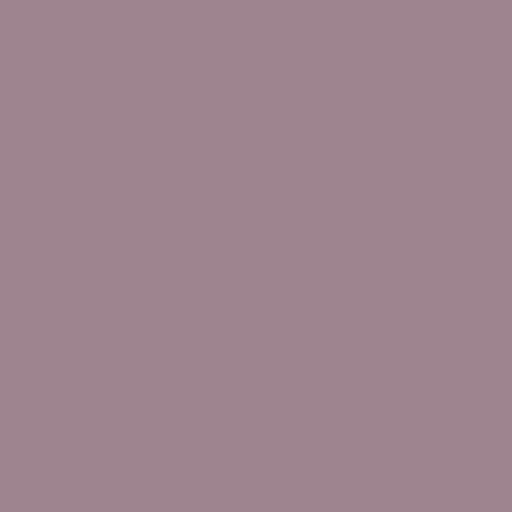 Pantone TPG Sheet 17-1605 Elderberry