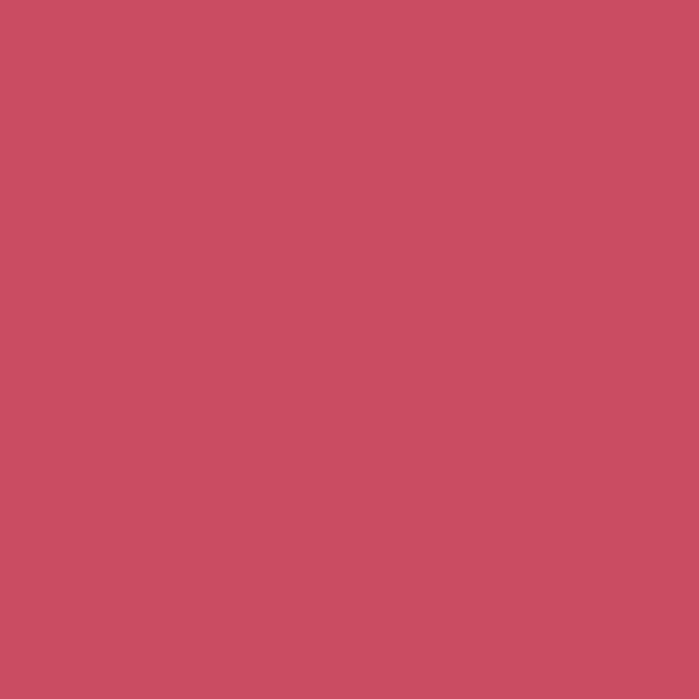 Pantone TPG Sheet 17-1740 Claret Red