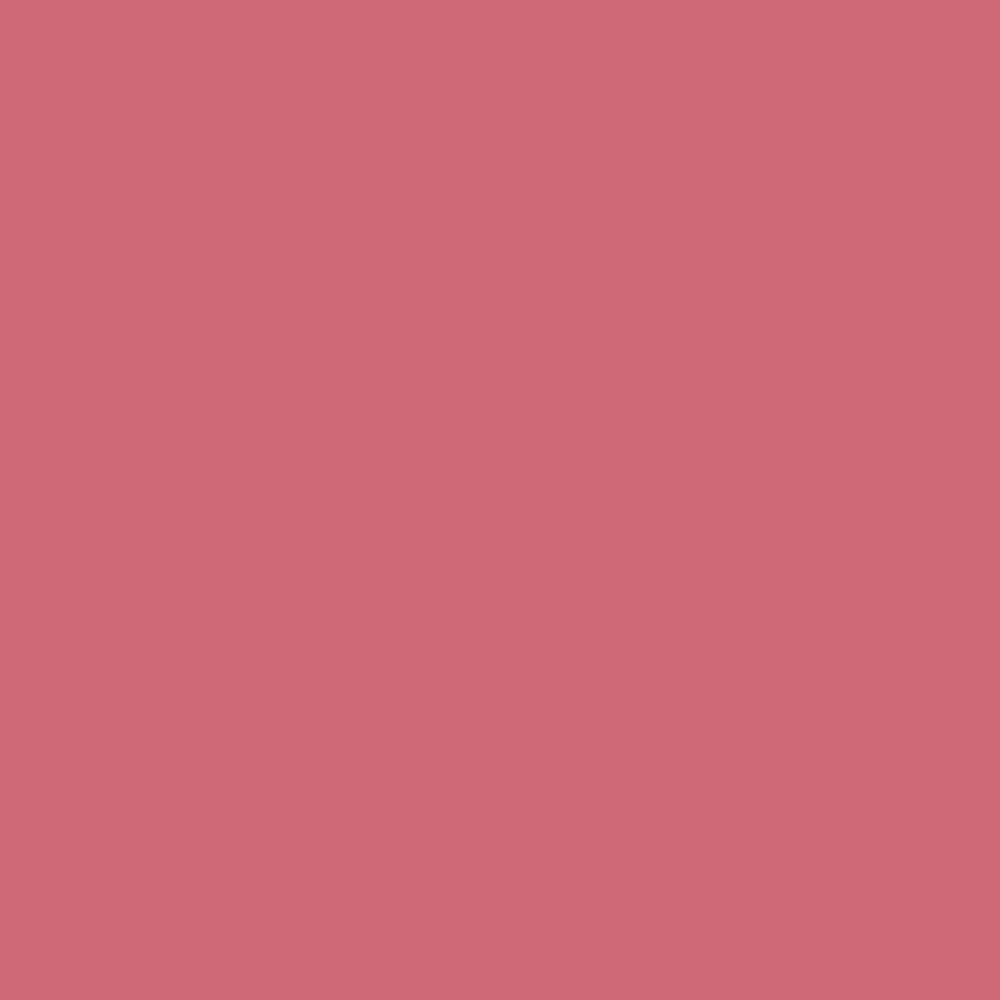 Pantone TPG Sheet 17-1927 Desert Rose