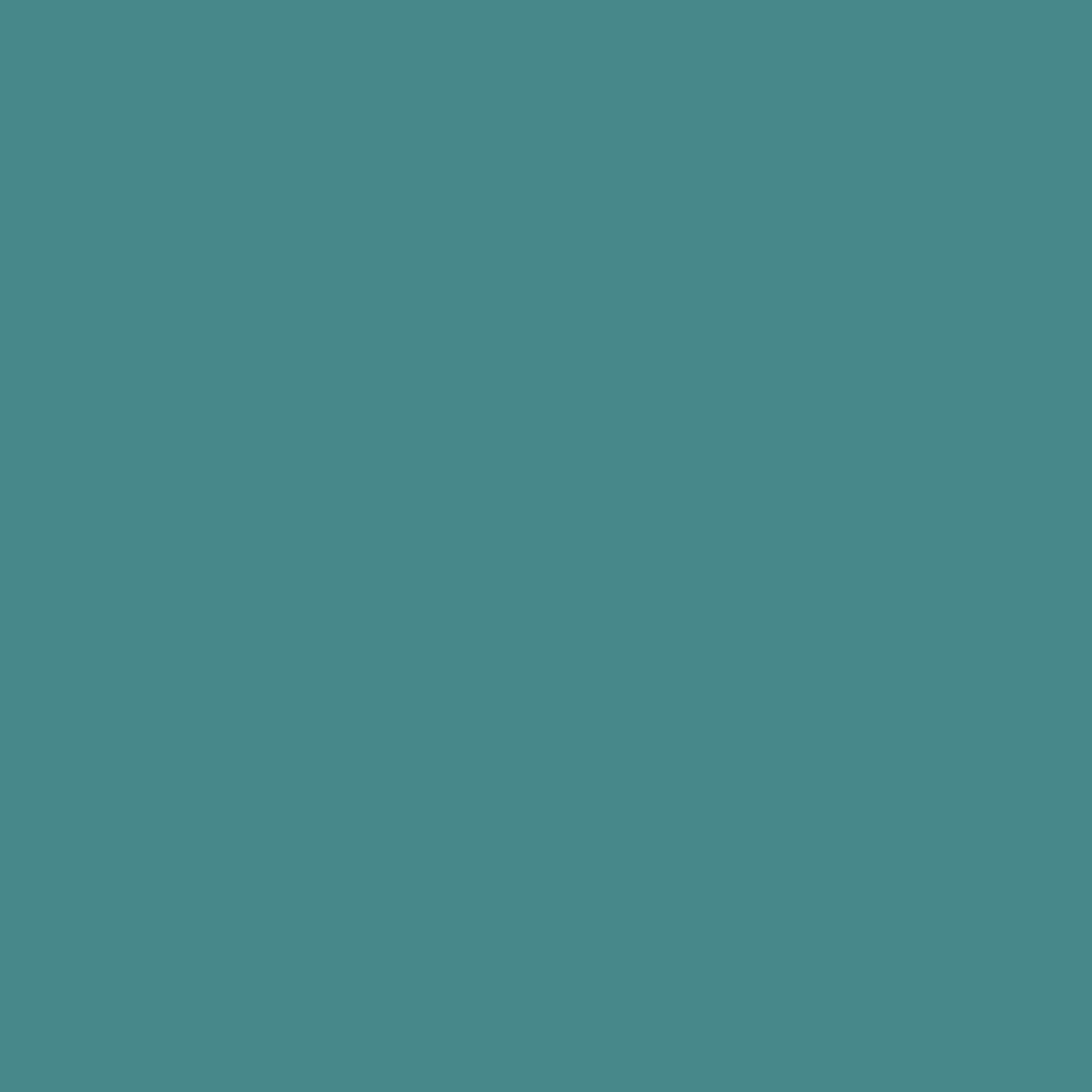 Pantone TPG Sheet 17-4919 Teal