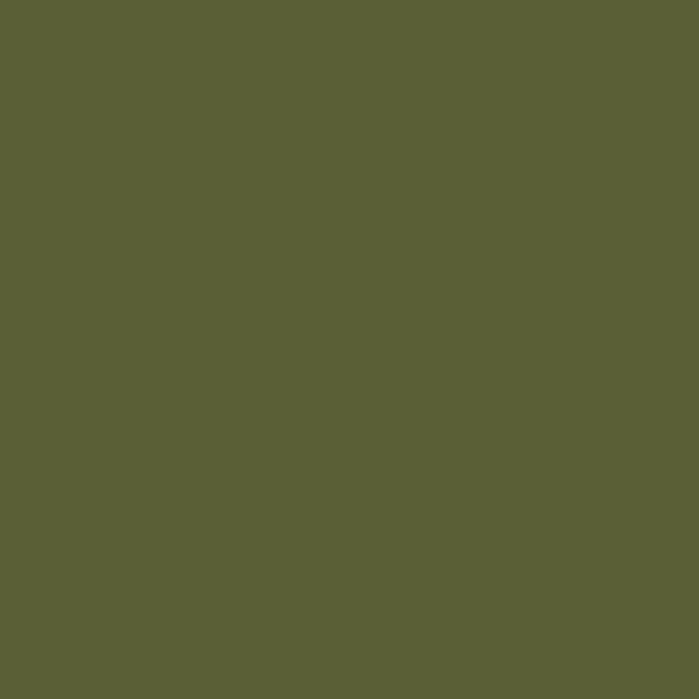 Pantone TPG Sheet 18-0228 Pesto