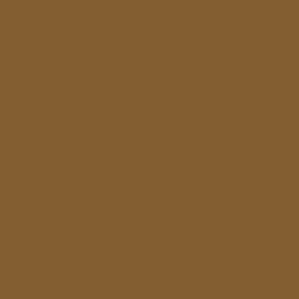 Pantone TPG Sheet 18-0937 Bronze Brown