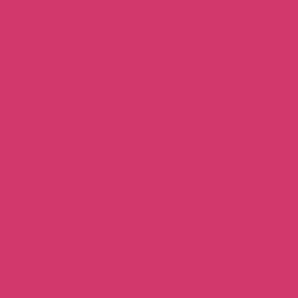 Pantone TPG Sheet 18-2043 Raspberry Sorbet