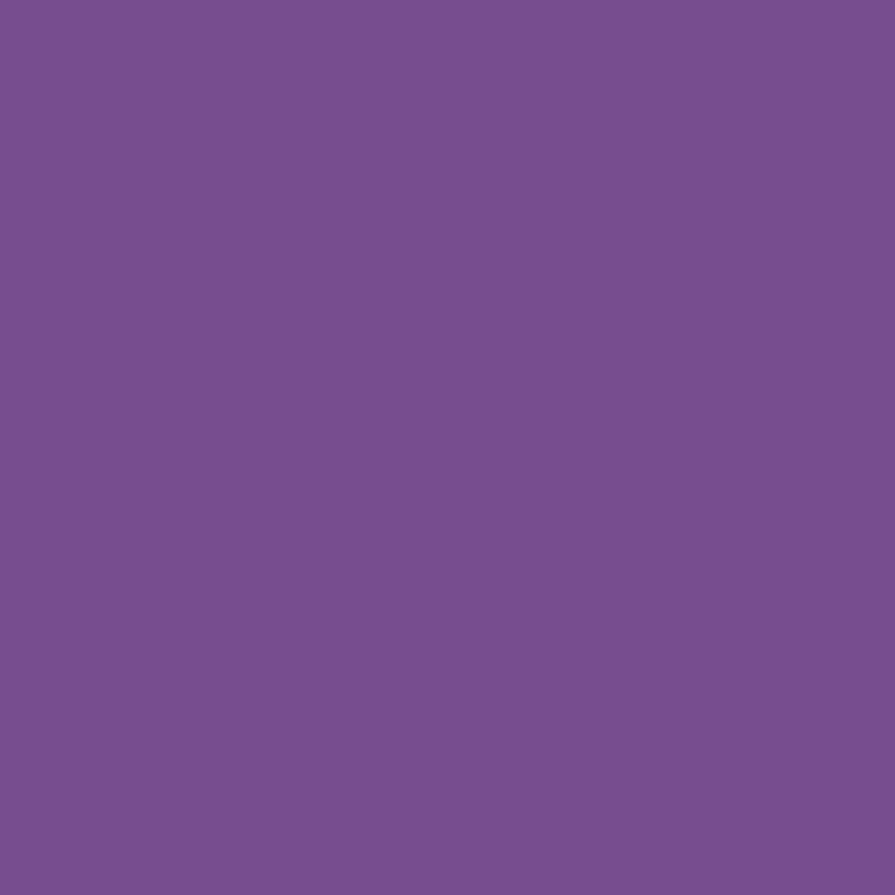 Pantone TPG Sheet 18-3531 Royal Lilac