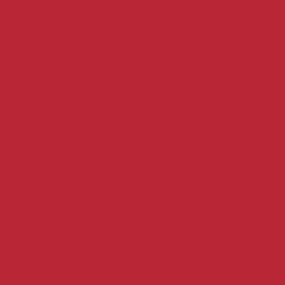 Pantone TPG Sheet 19-1663 Ribbon Red