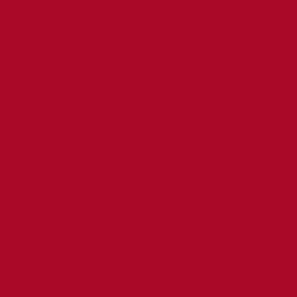 Pantone TPG Sheet 19-1757 Barbados Cherry