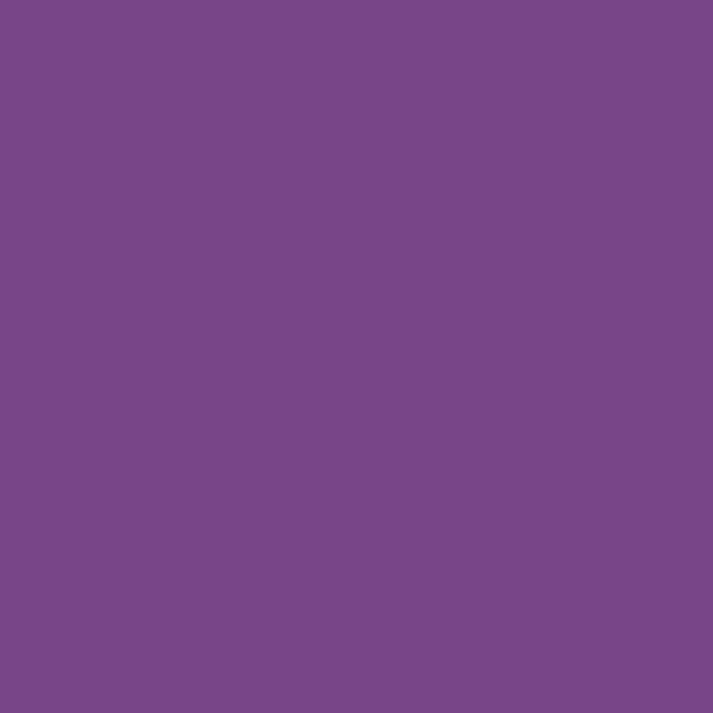 Pantone TPG Sheet 19-3438 Bright Violet