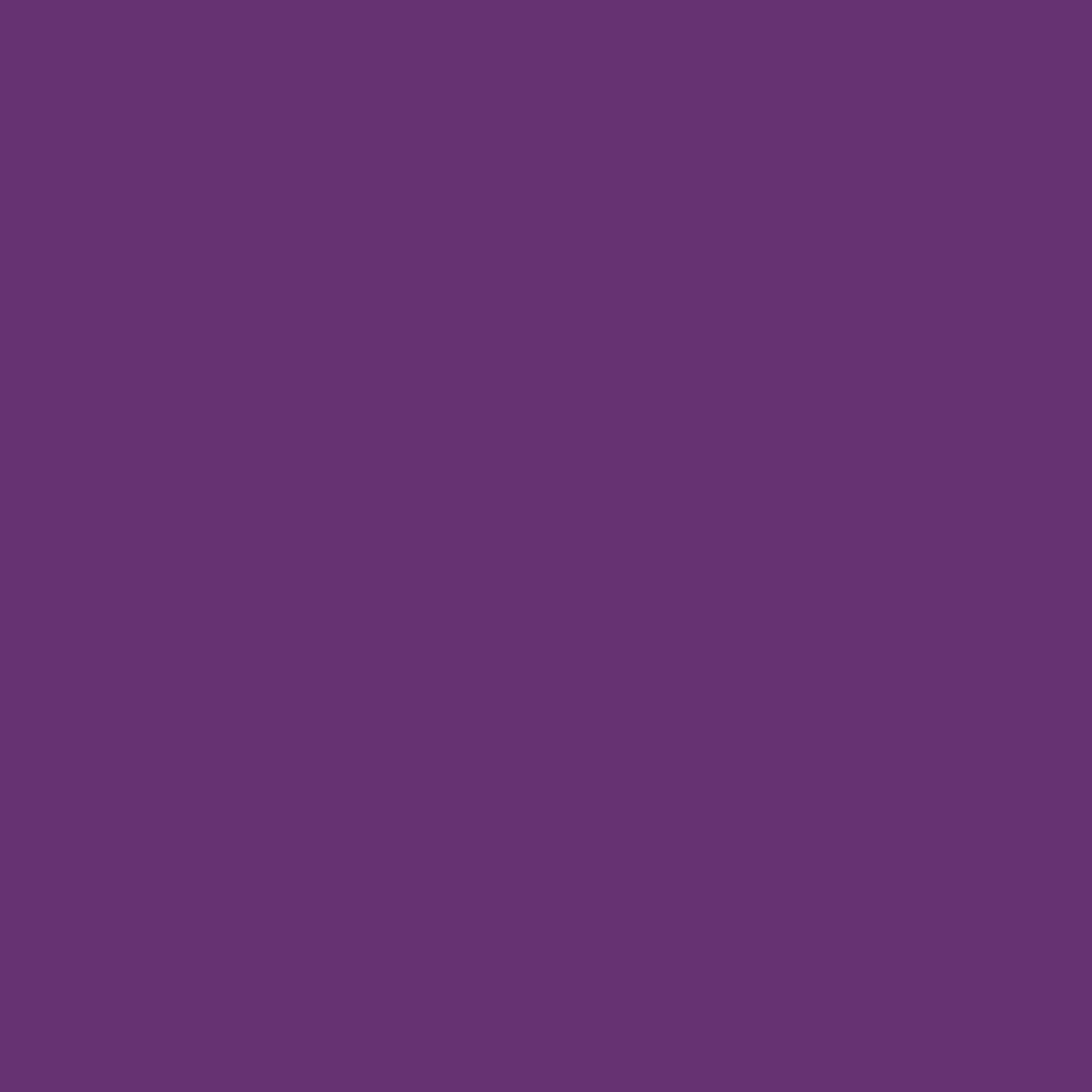 Pantone TPG Sheet 19-3540 Purple Magic