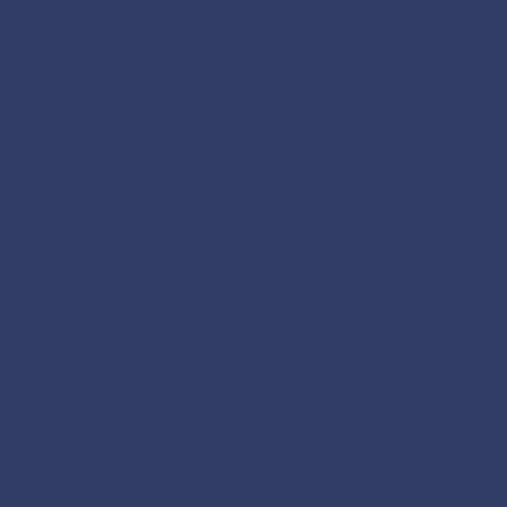 Pantone TPG Sheet 19-3938 Twilight Blue