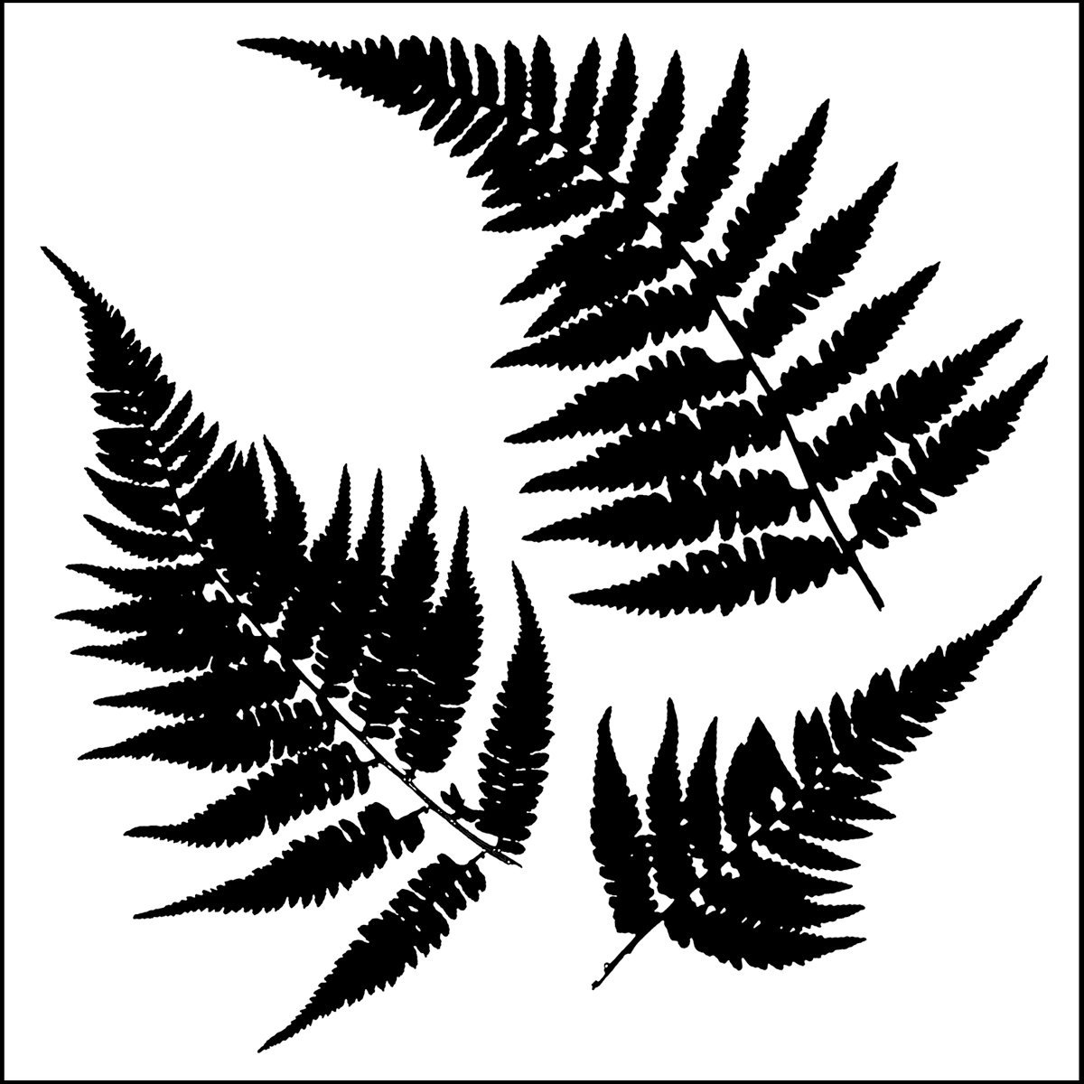 Stencil 6in x 6in Ferns