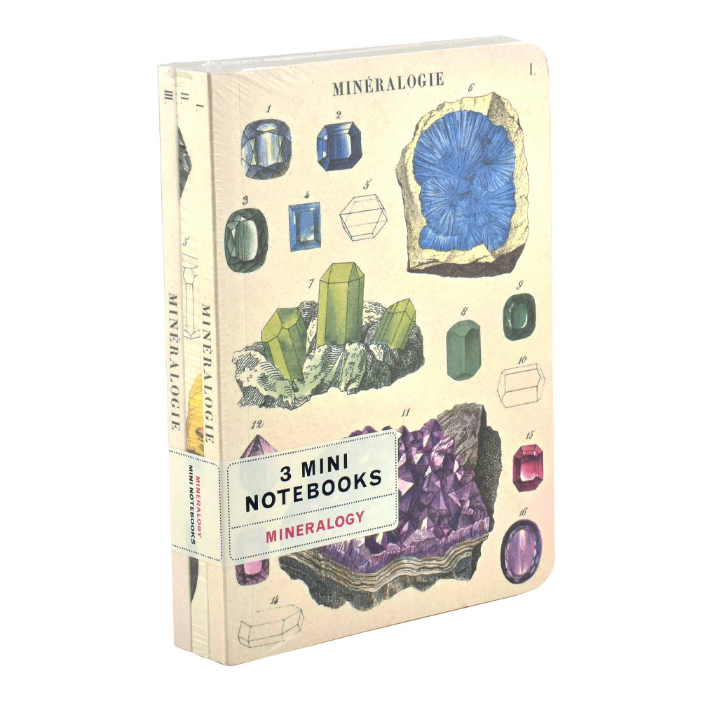 Cavallini Mineralogy Mini Notebooks