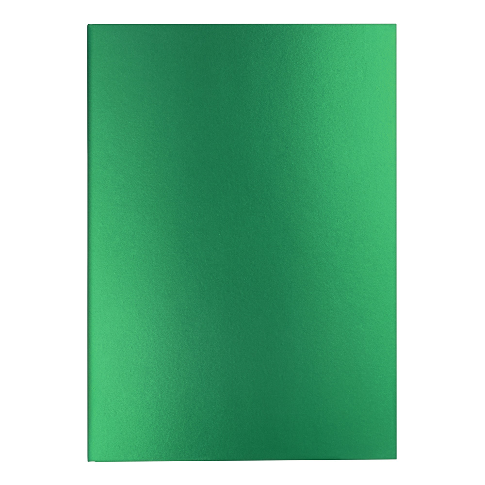 Caran dAche Colormat x Notebook Green