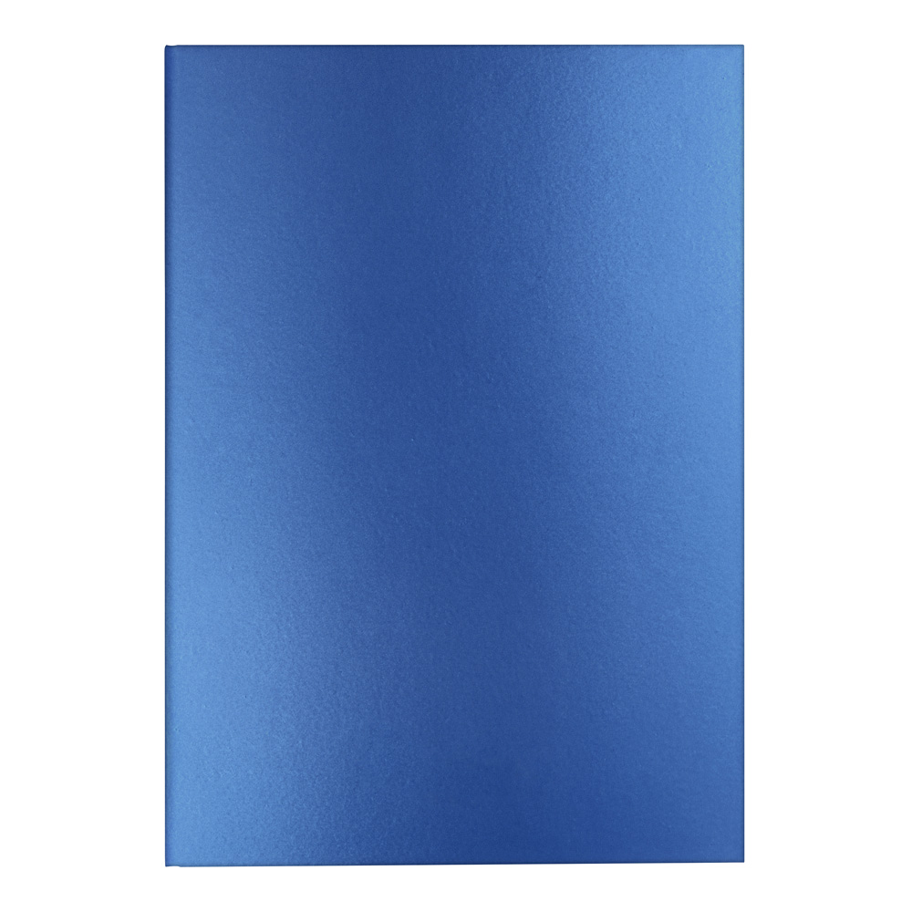 Caran dAche Colormat x Notebook Blue