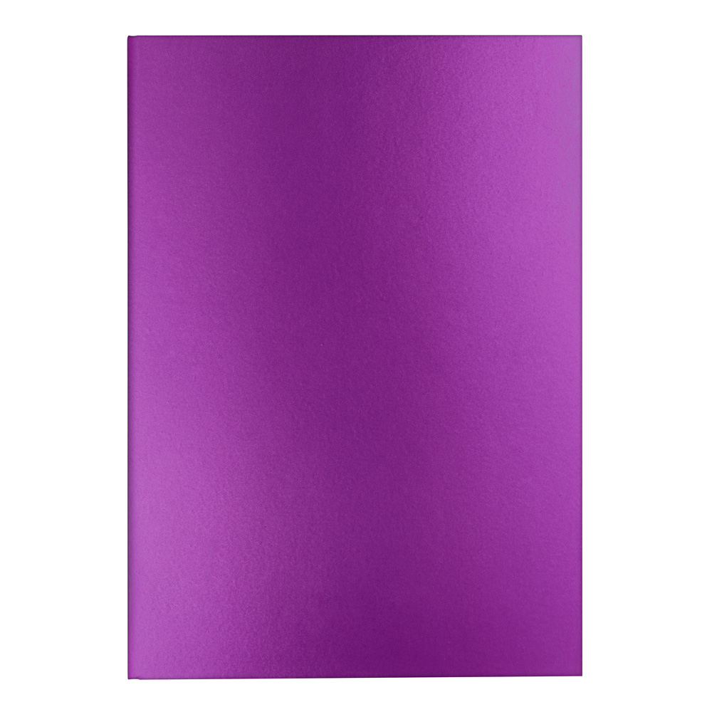 Caran dAche Colormat x Notebook Violet