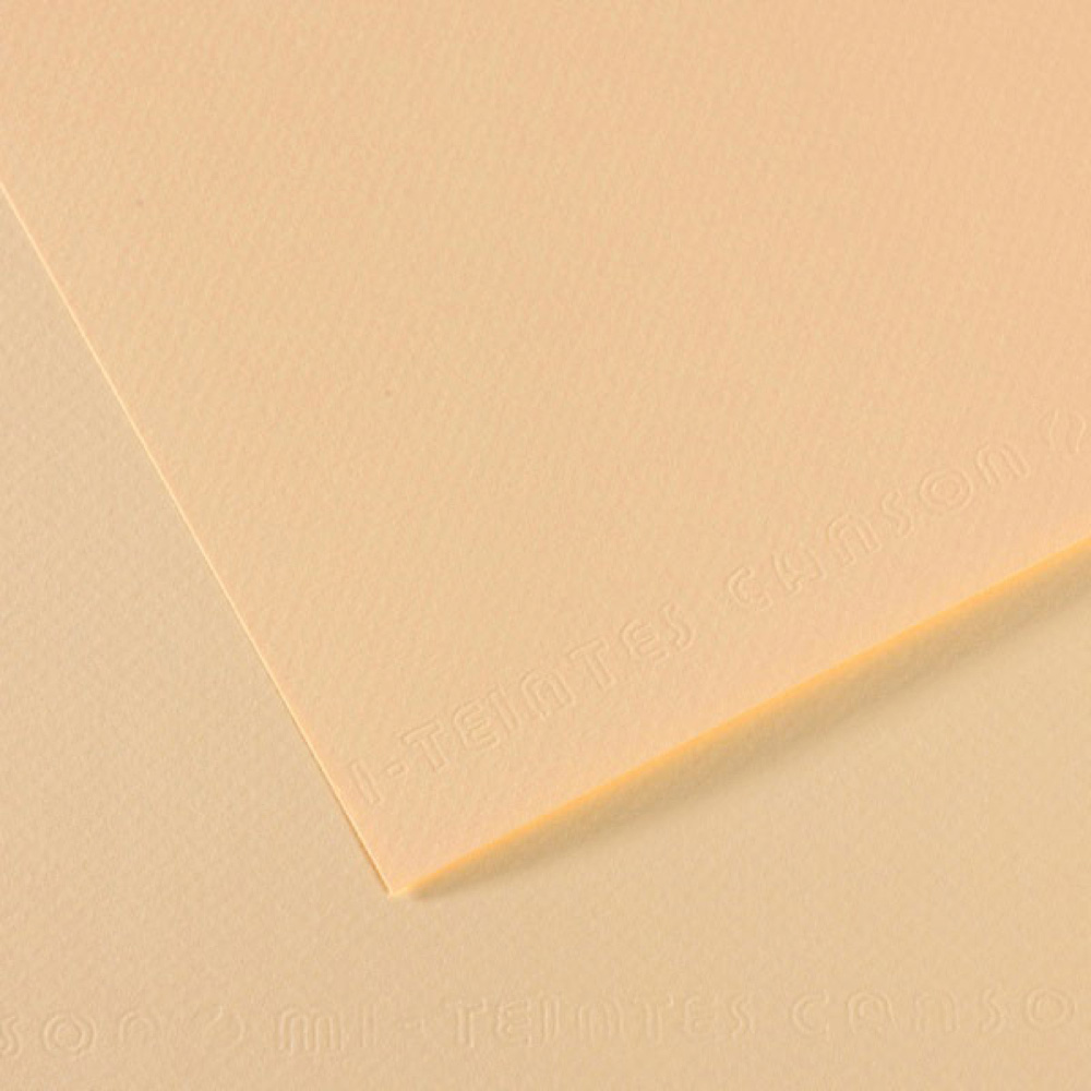 Mi-Teintes Paper 19.5X25.5 111 Ivory