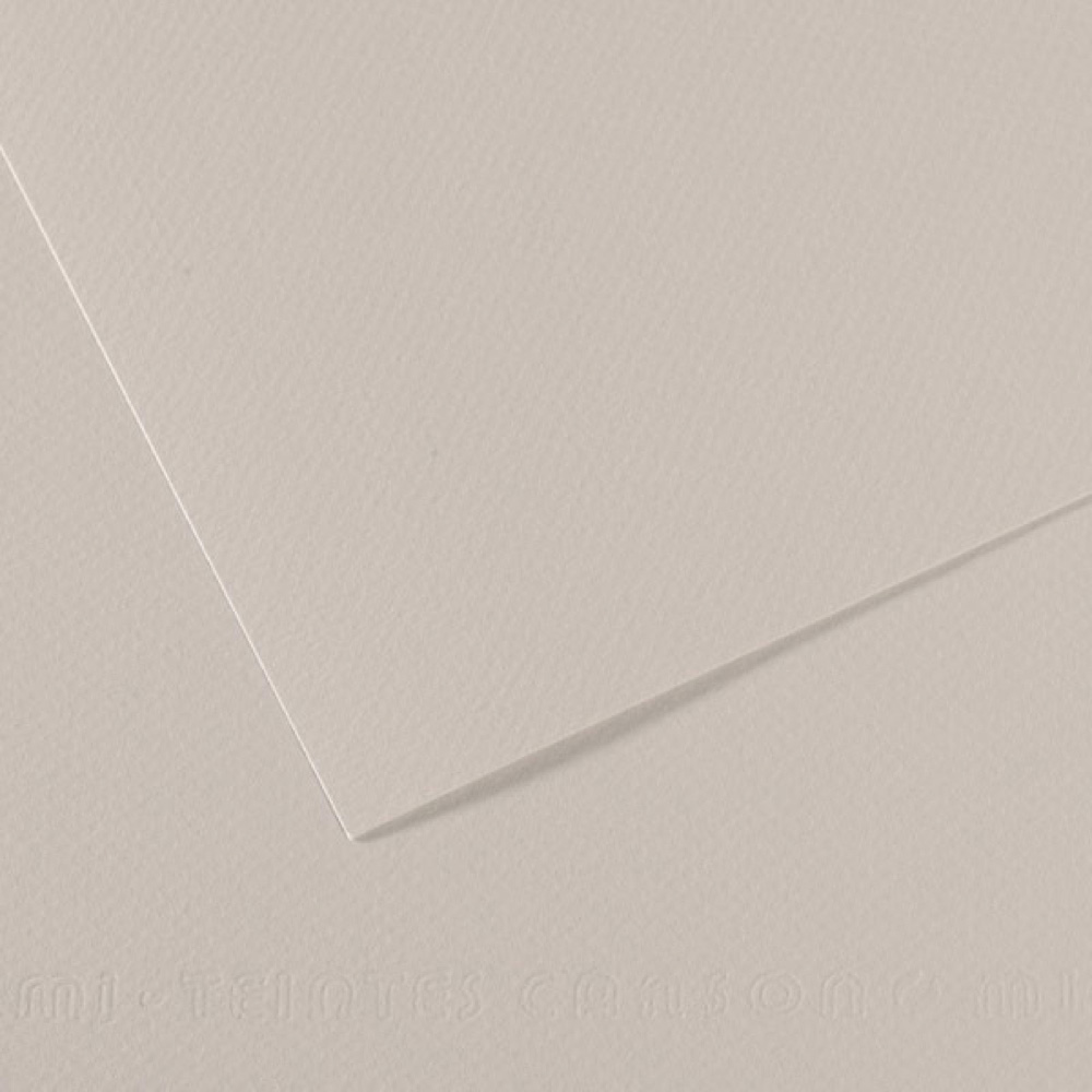 Mi-Teintes Paper 19.5X25.5 120 Pearl Gray