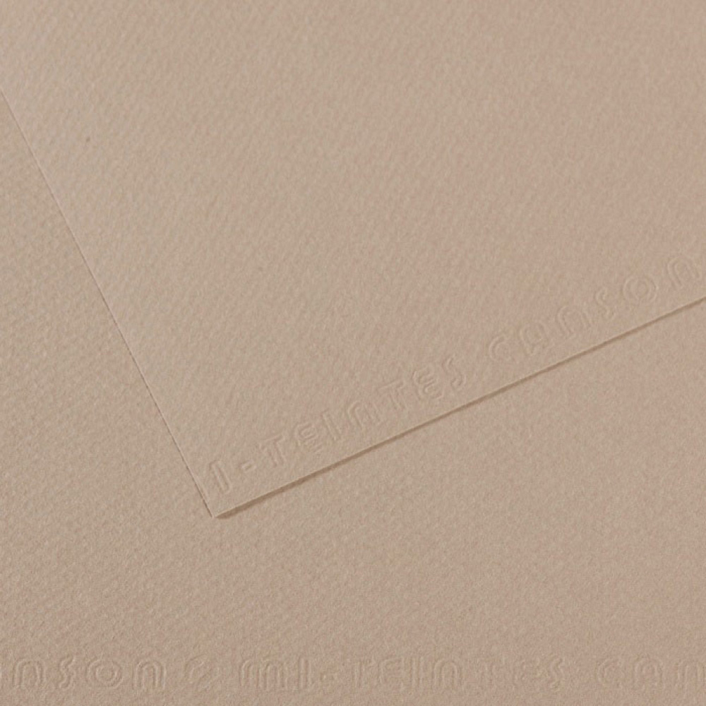 Mi-Teintes Paper 19.5X25.5 122 Flannel Gray