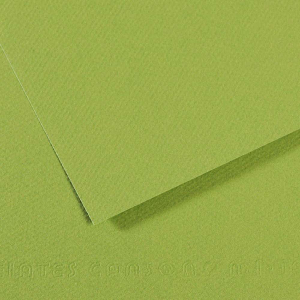 Mi-Teintes Paper 19.5X25.5 475 Green