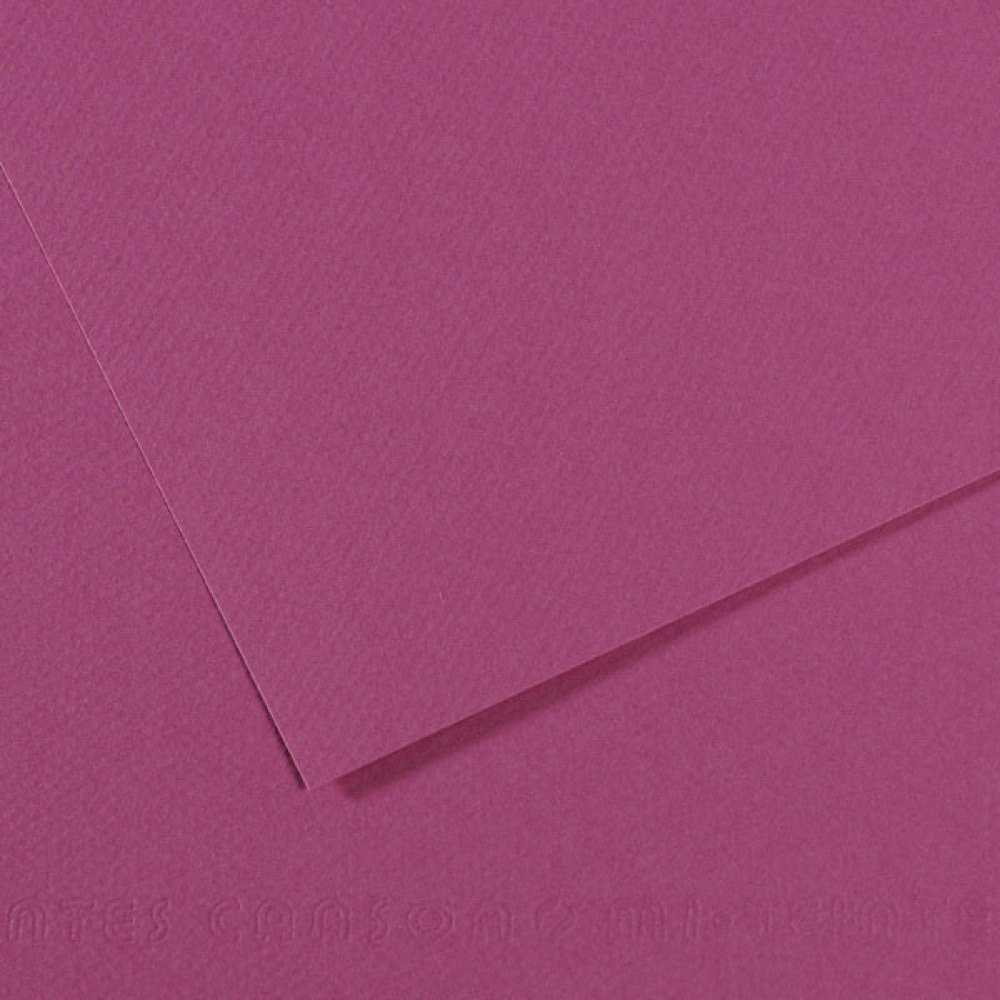 Mi-Teintes Paper 19.5X25.5 507 Violet