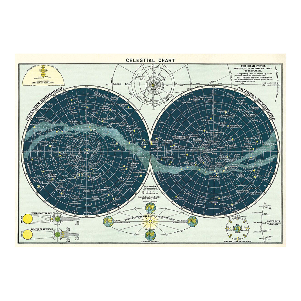 Cavallini & Co Wrap Hemispheres Map 20" X 28" Decorative Paper 