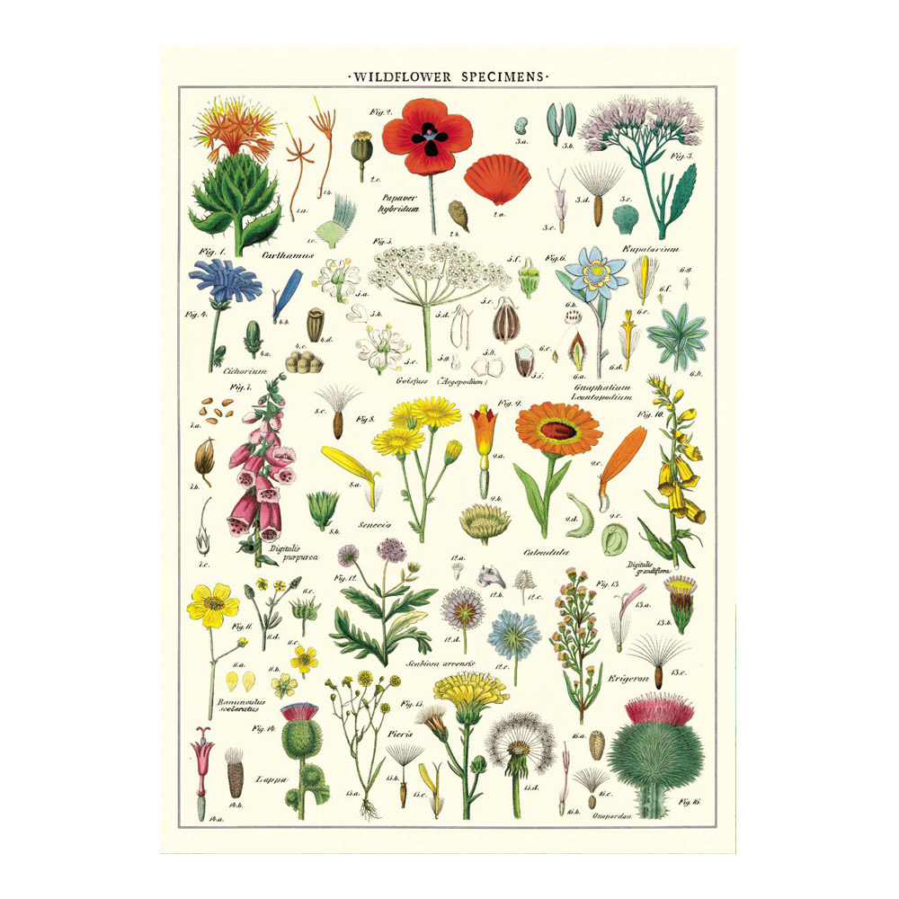 Decorative Wrap 20X28 Wildflowers