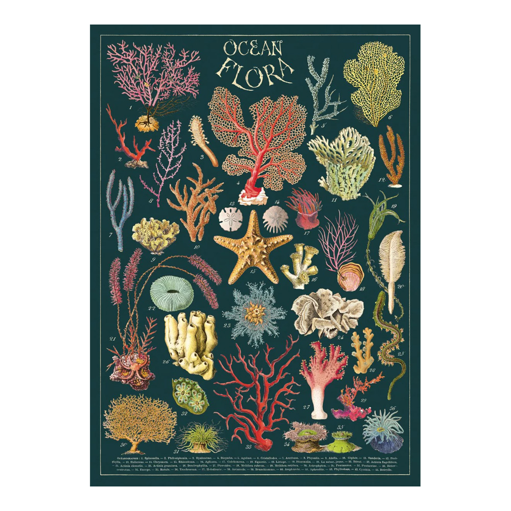 Decorative Wrap 20 X 28 Ocean Flora