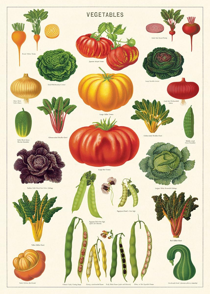 Decorative Wrap 20 X 28 Vegetables