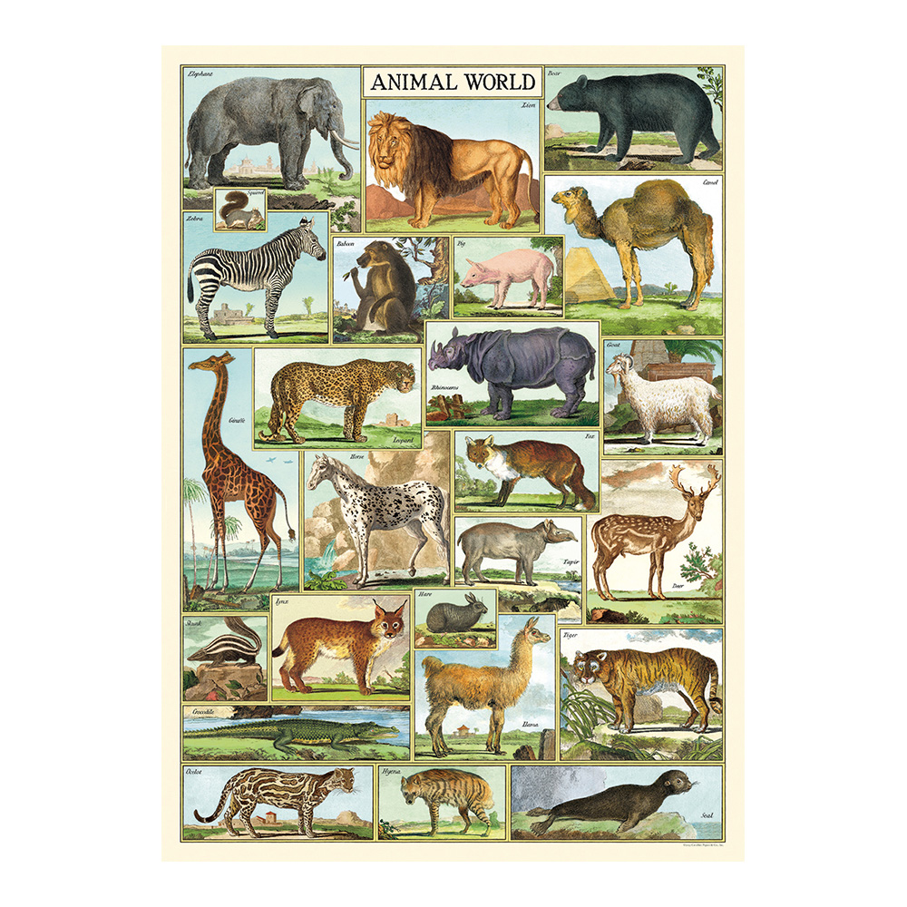 Decorative Wrap 20 X 28 Animal World