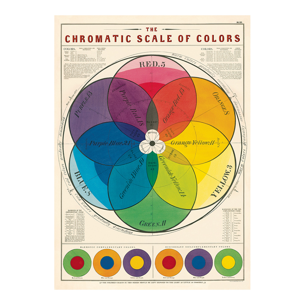 Decorative Wrap 20 X 28 Chromatic Scale/Color